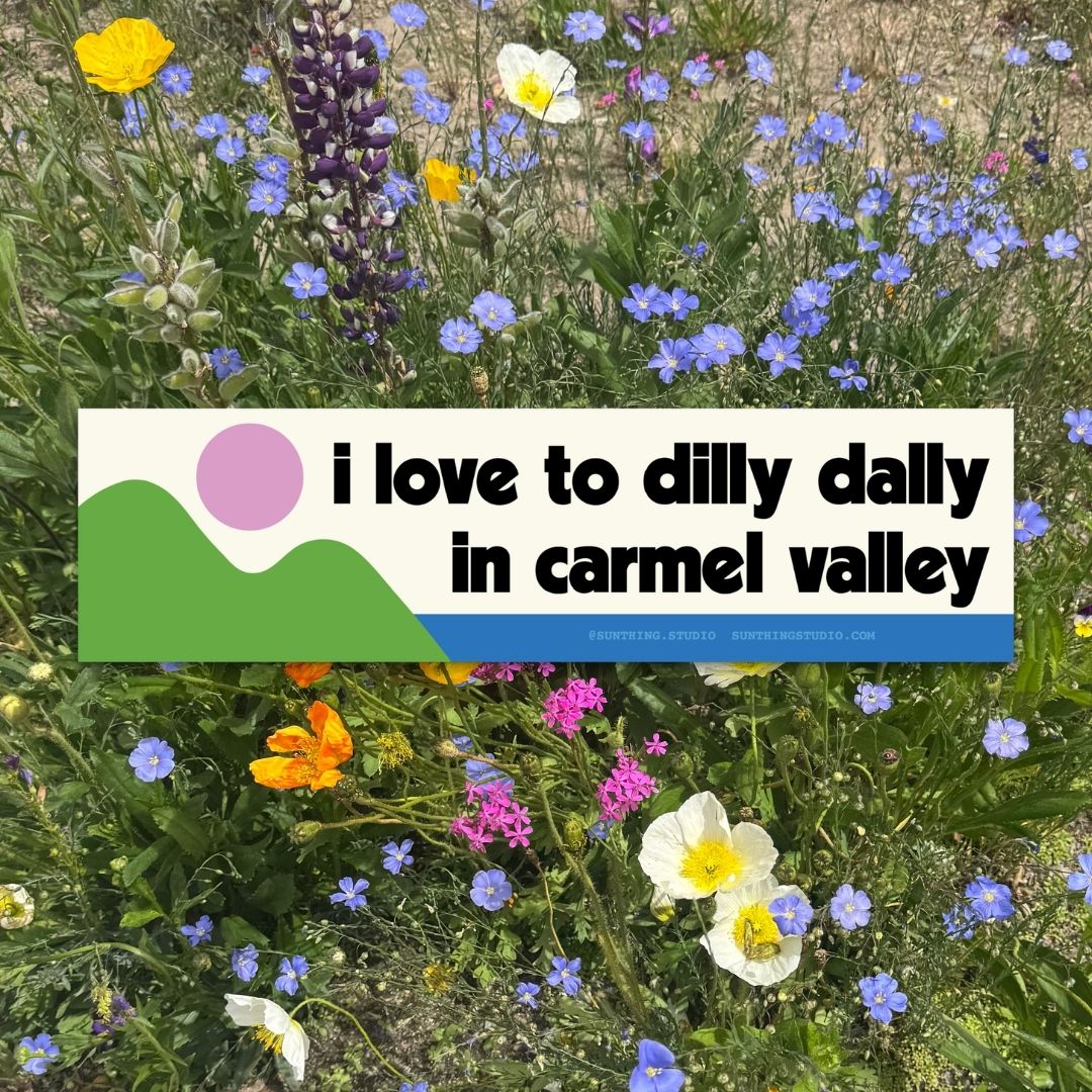 Dilly Dally in Carmel Valley Bumper Sticker
